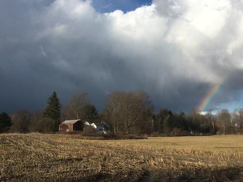 An image to sum up 2020