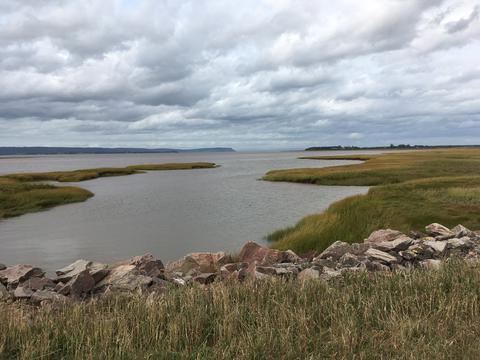 The bay of fundy by wolfville