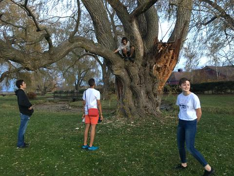 Ajanta's friends at grand pré