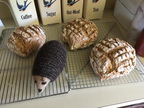 Hedgehog shaped multigrain breads