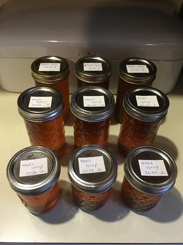 Homemade maple syrup