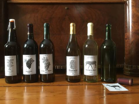 2019 wines were bottled this year