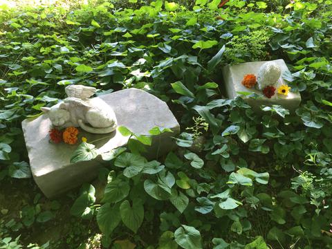 Shadow and mozart's graves