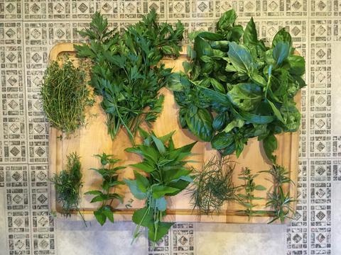Garden herb sampling