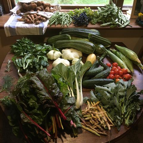 Garden harvest profusion