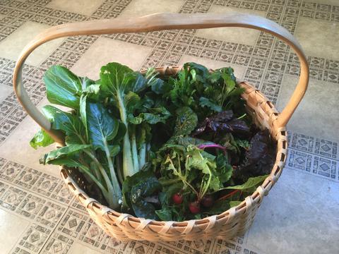 The last harvest until spring