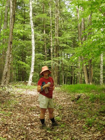 Hiking in the local forest