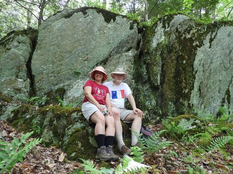 In the future cambridge community forest