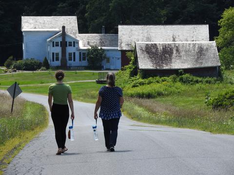 Lots of walks on country roads this year