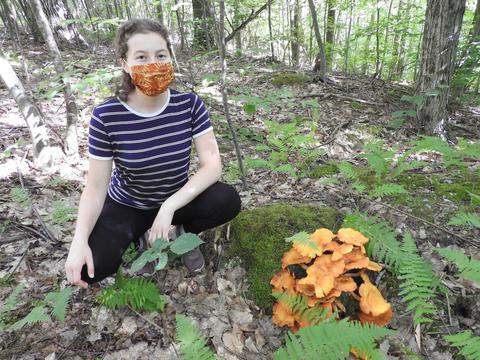Mask matching mushroom in blackhole hollow