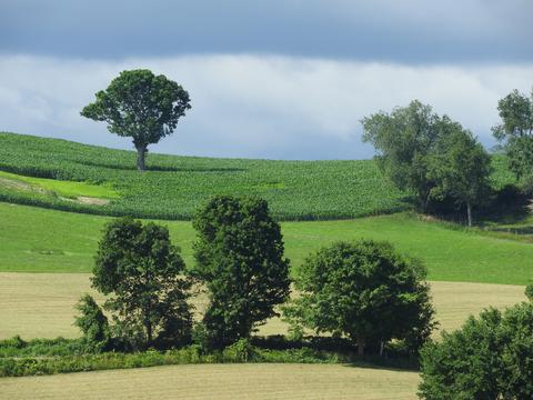View of the countryside