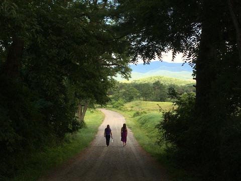 Another beautiful road to walk on