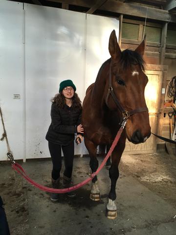 Messing around with a horse