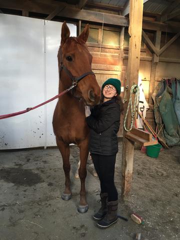 Messing around with another horse