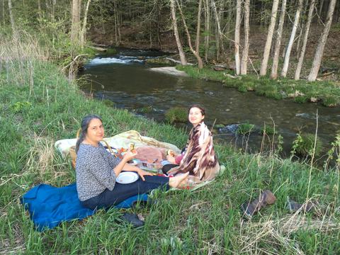 Another picnic by the stream