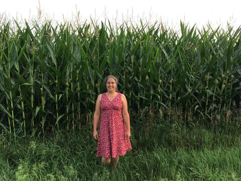 Measuring the corn using gina